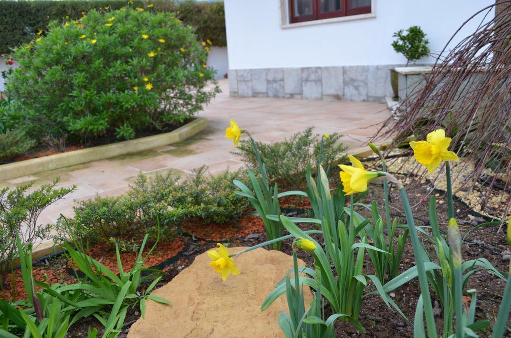 Beija-Flor House Villa Ribamar  Ngoại thất bức ảnh