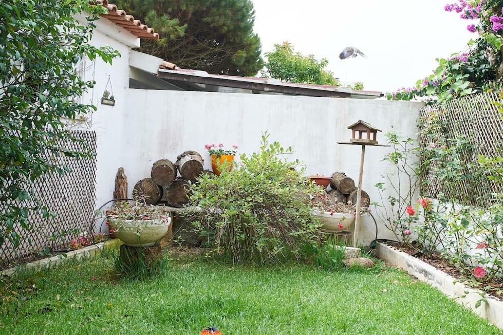 Beija-Flor House Villa Ribamar  Ngoại thất bức ảnh