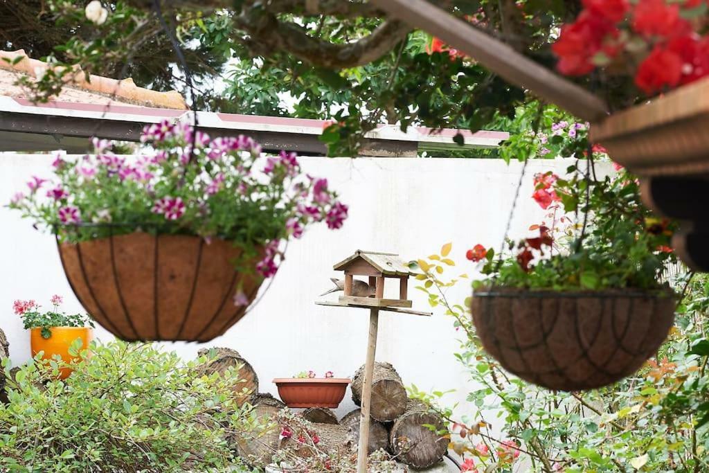 Beija-Flor House Villa Ribamar  Ngoại thất bức ảnh