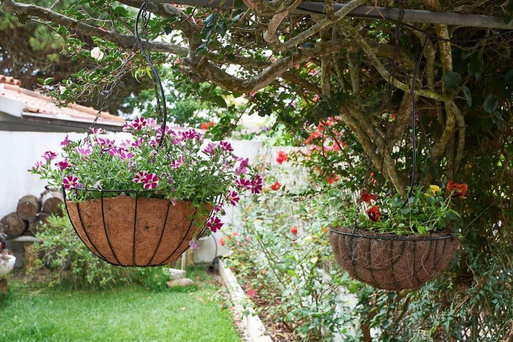 Beija-Flor House Villa Ribamar  Ngoại thất bức ảnh